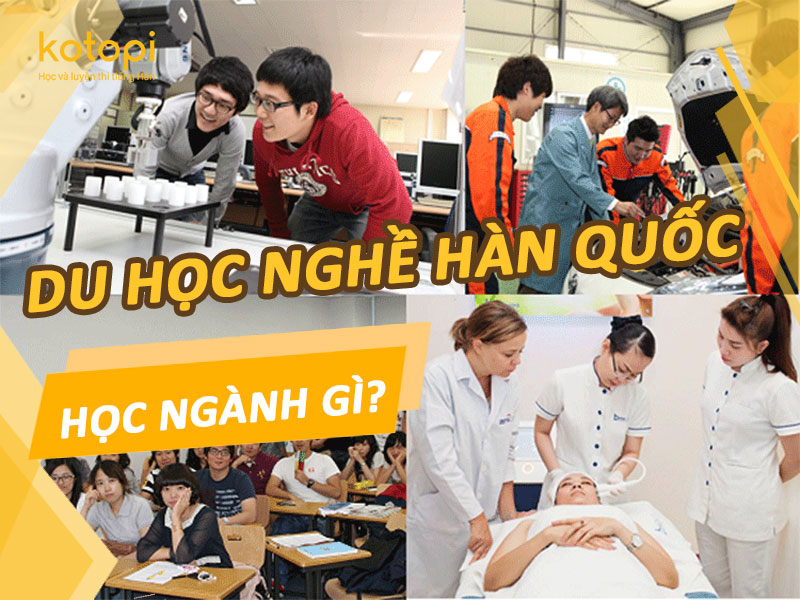 Du học Hàn Quốc nên học ngành gì