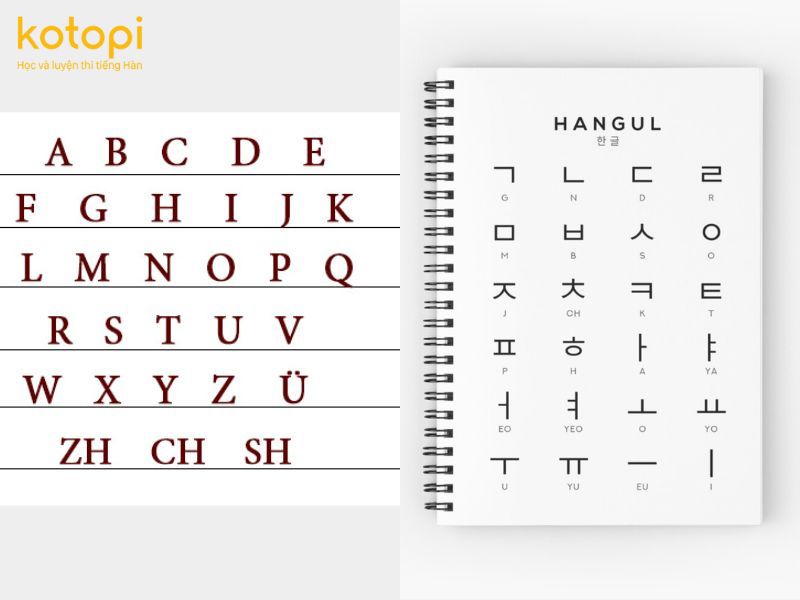 Tiếng Anh sử dụng bảng chữ cái Latin với 26 ký tự, trong khi tiếng Hàn sử dụng hệ thống chữ cái Hangul.